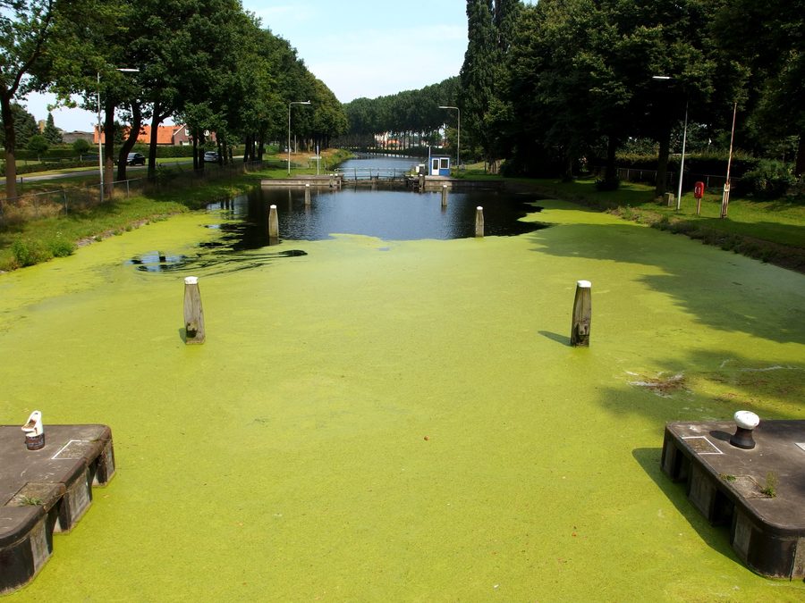 Canal lock Hulsen in Zuid-Willemsvaart in Nederweert