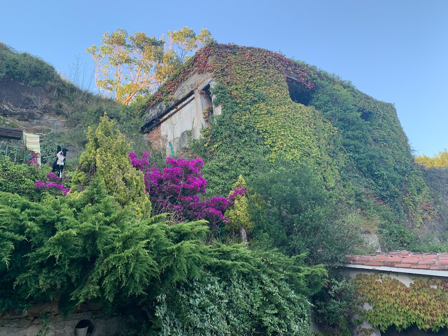 File:Ribadesella 11 46 47 501000.jpeg