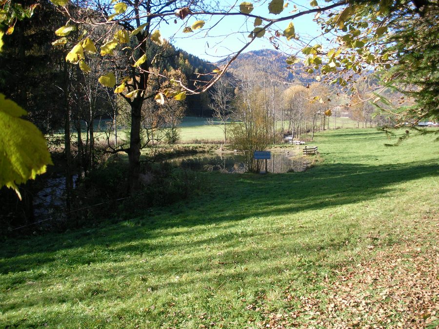 Landschaftsteich Moschitz in Oberzeiring vor bewaldeter Berglandschaft