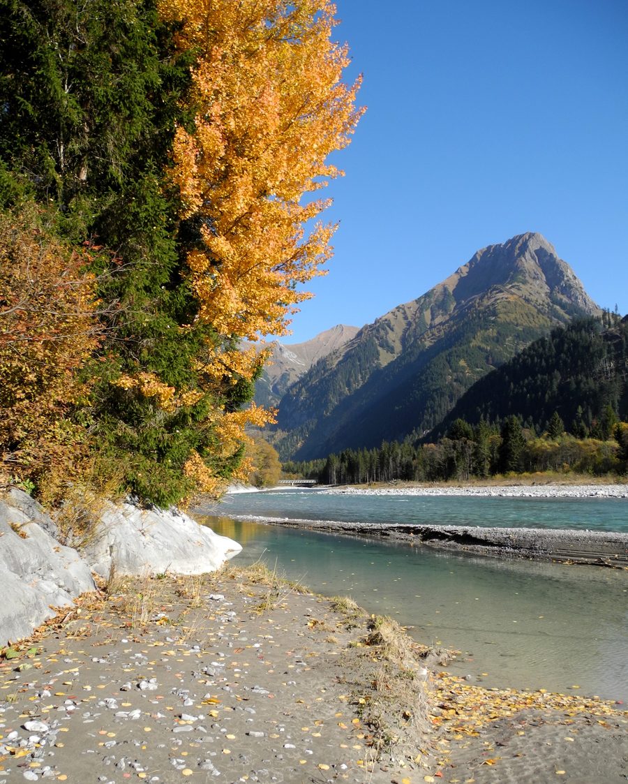 Lech Valley scenery near Elmen in the Reutte district.