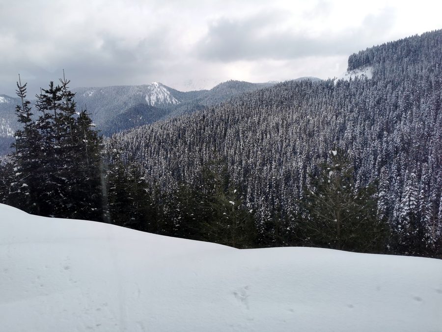 Landscape in Ilgaz Mountain National Park near Çankırı