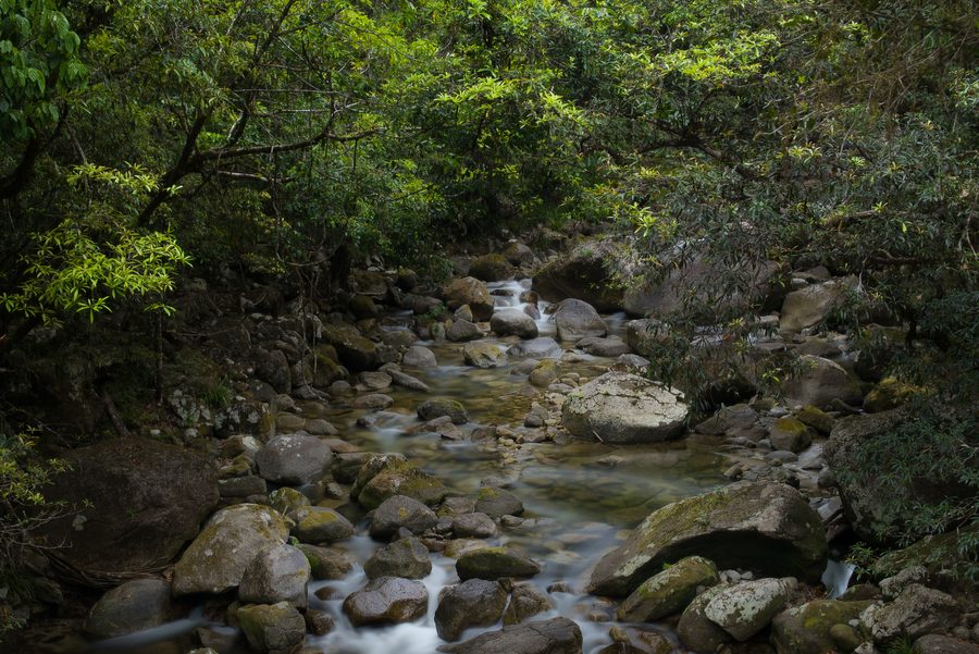 Mossman Gorge in the tropical rainforest of Far North Queensland