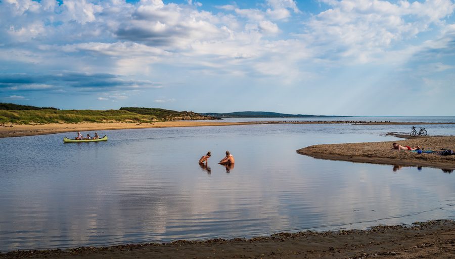 Waterfront landscape at Suseån in Grimsholmen Nature Reserve