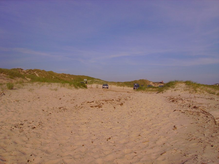 Beach of Henne Strand with sandy area and dunes