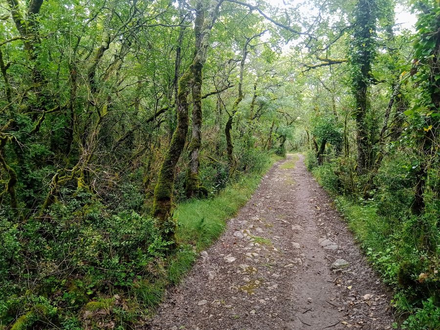 File:Cajarc Via Podiensis.jpg