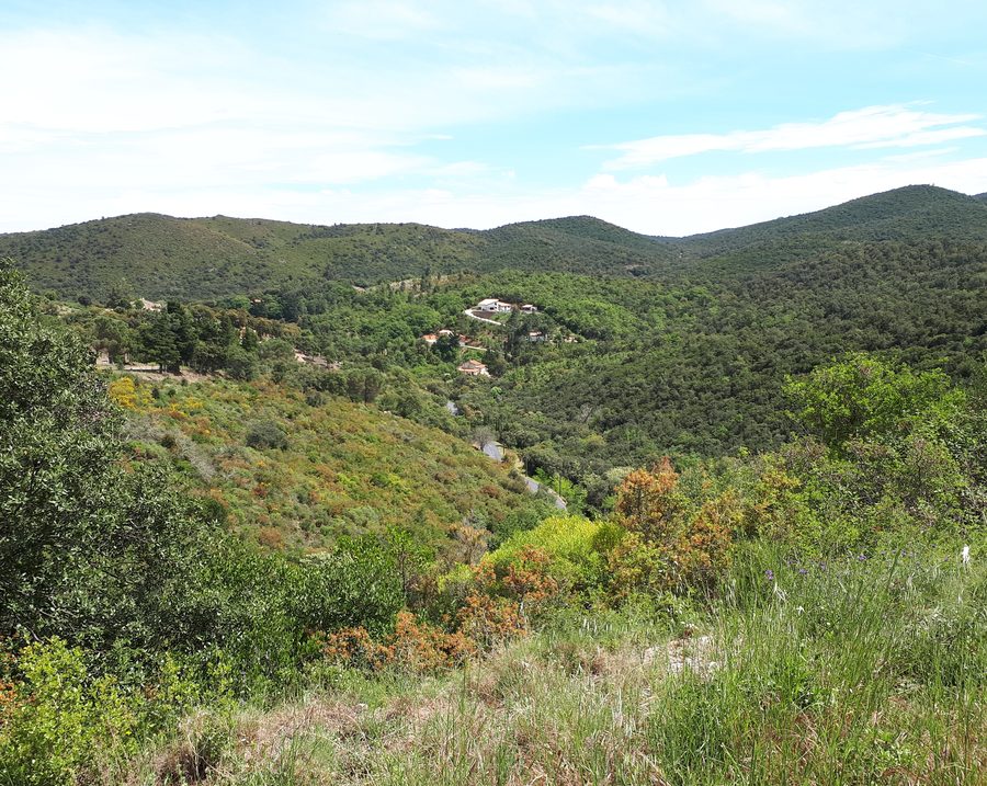 Còrrec des Hostalets Valley in the Aspres