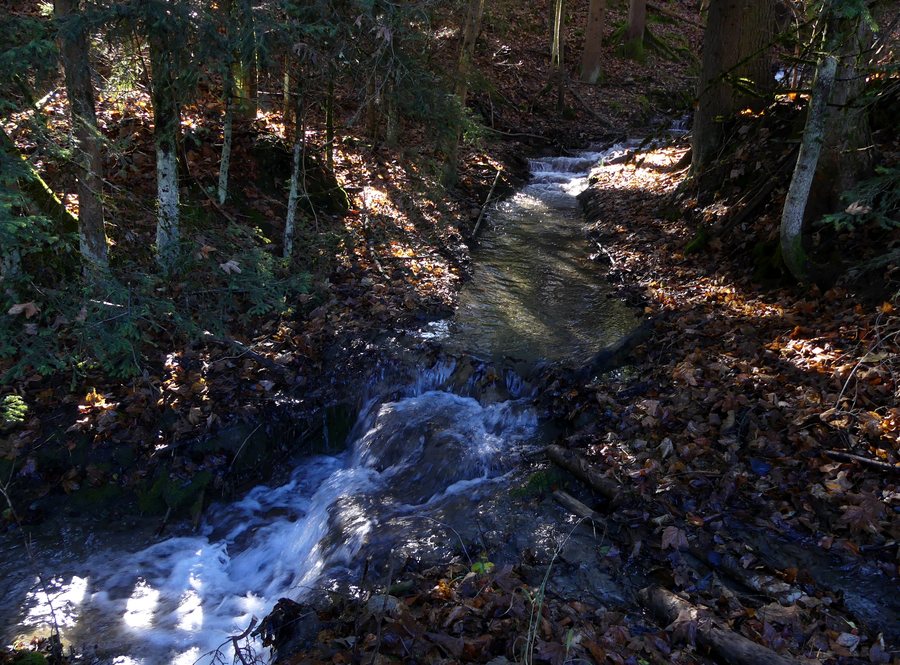 File:Torrent entre St-Pancrace et les Bottières (novembre 2024).JPG