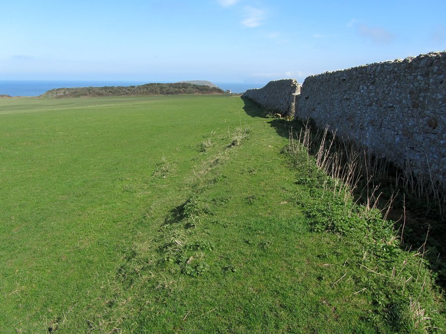 File:Isle of Anglesey Coastal Path at Pentir - geograph.org.uk - 3920797.jpg