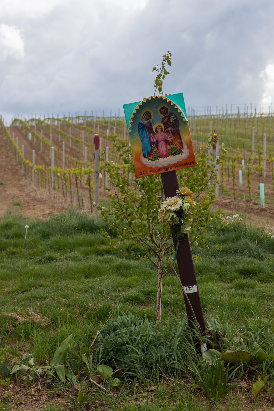 Wine column in the vineyards near Čejkovice in South Moravia