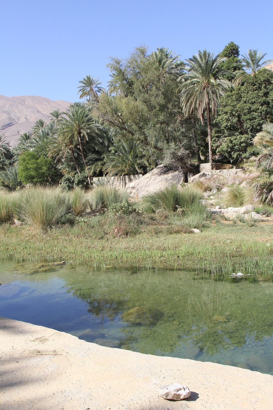 Landscape in Oman with a barren mountain and desert environment