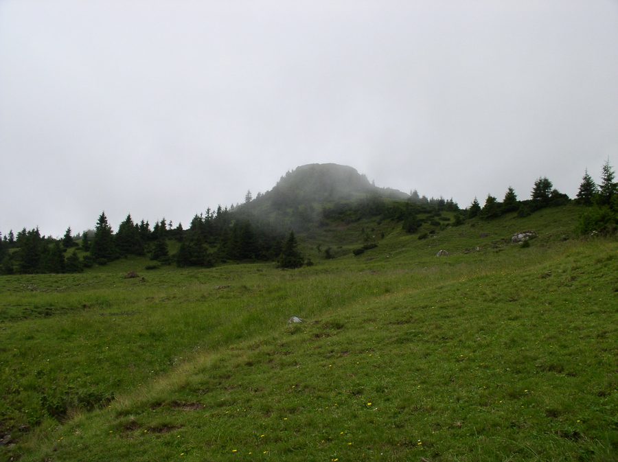 Mountain landscape of the Chornohora range in the Ukrainian Carpathians