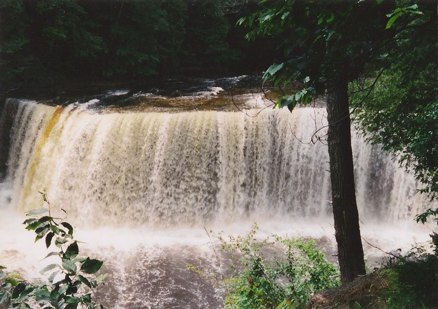 Tahquamenon Falls in a wooded area of Luce County, Michigan