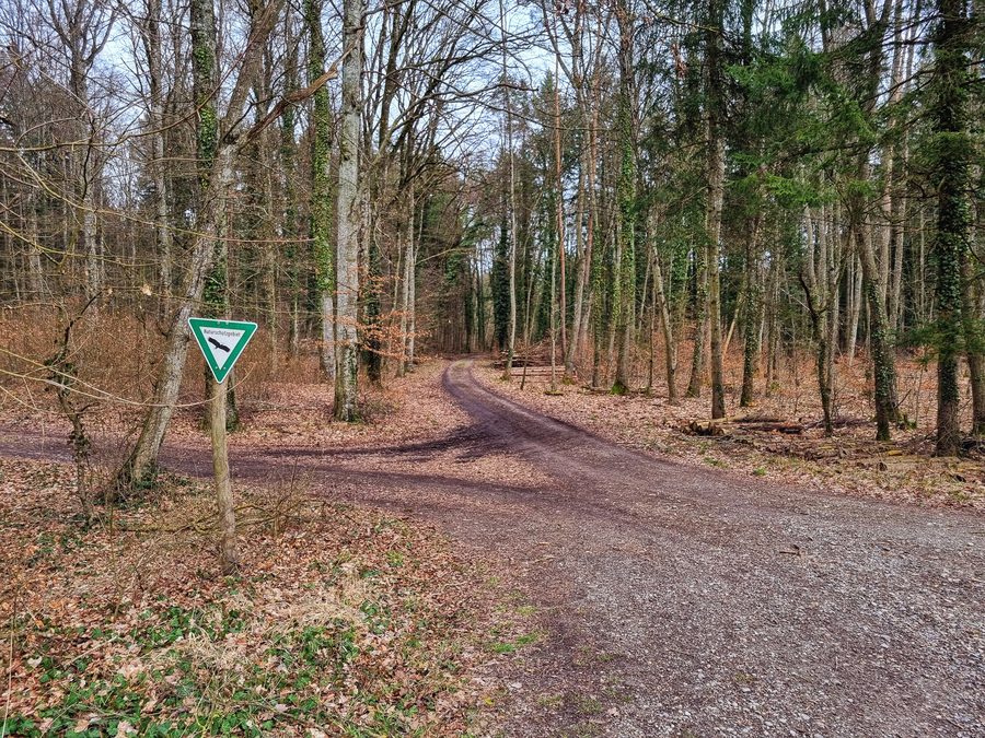 Litzelsee nature reserve near Radolfzell and Steißlingen