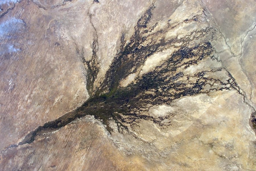 Aerial view of the Okavango Delta in Botswana with branching waterways and green wetlands