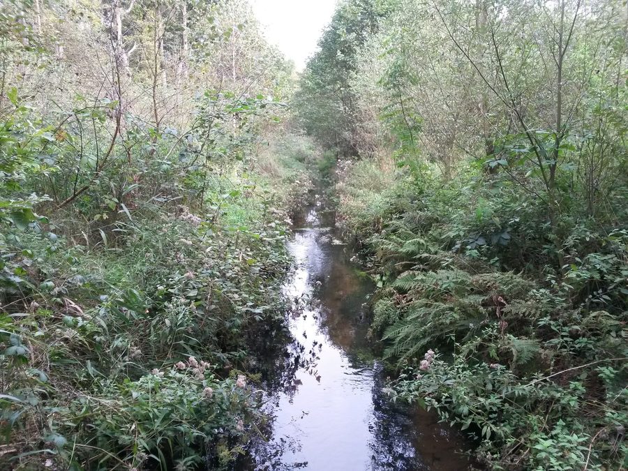 Fintau river in the rural surroundings of Fintel