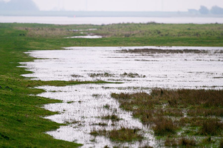 Flooded marsh meadows in Katinger Watt on the Eider