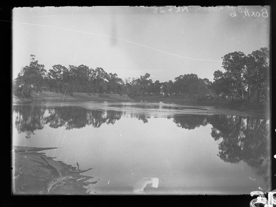 The Murray River with a sandy bank and trees in South Australia.
