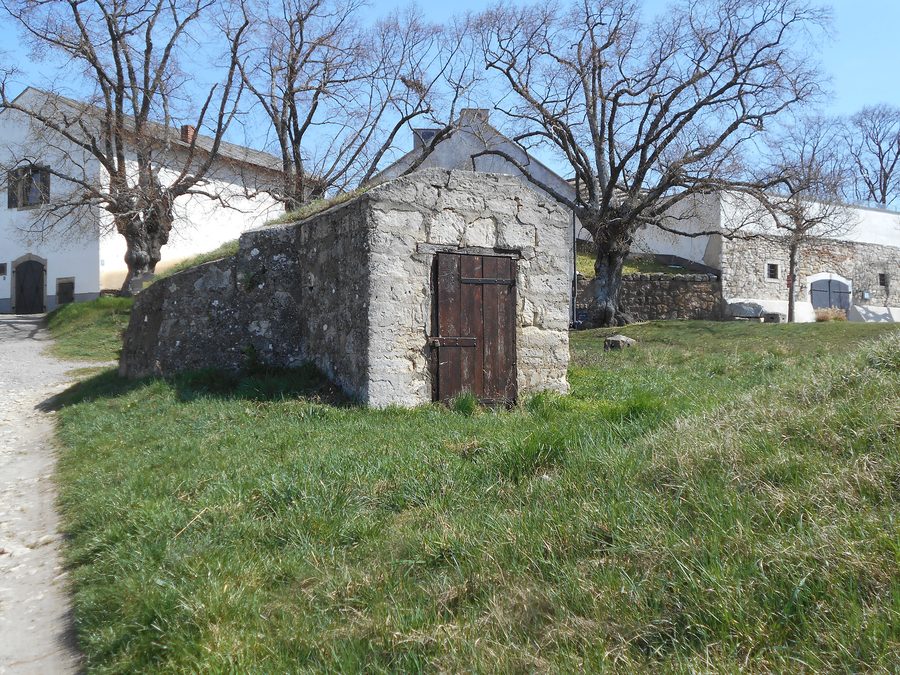 Cellar lane in Winden in Winden am See