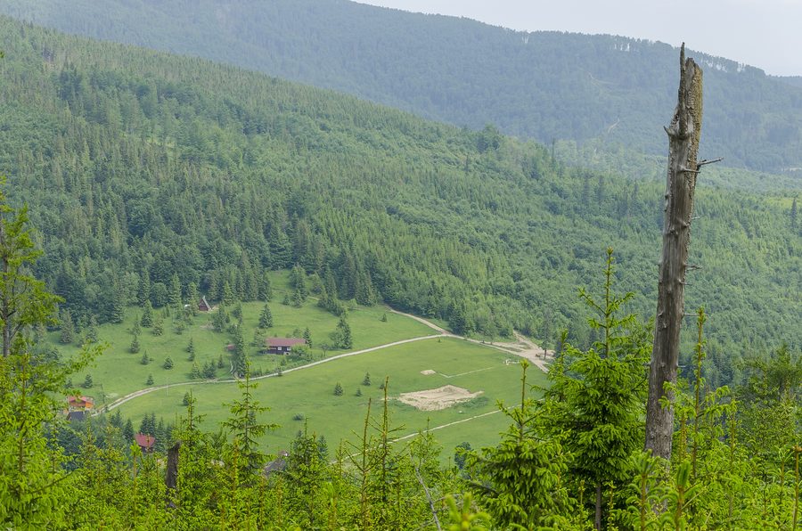 Landschaft in Koszarawa in Südpolen