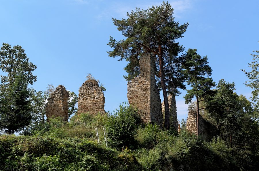 Ruins of the upper castle of Rożnów