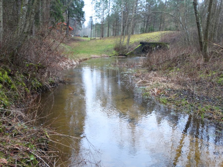 File:Dievogala, upelis.JPG