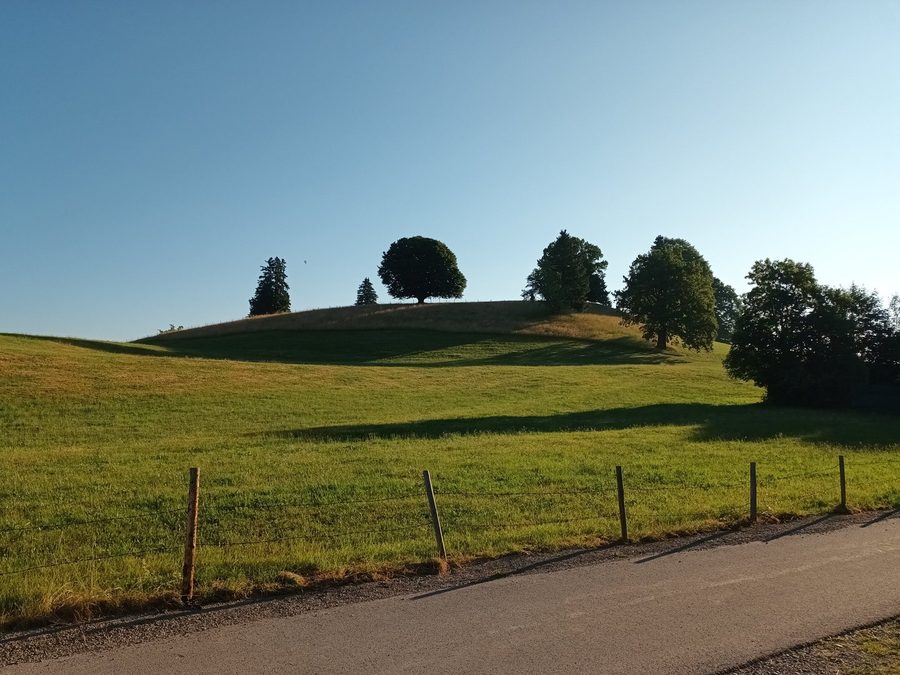 Schöney hill south of Dietringen in the municipality of Rieden am Forggensee