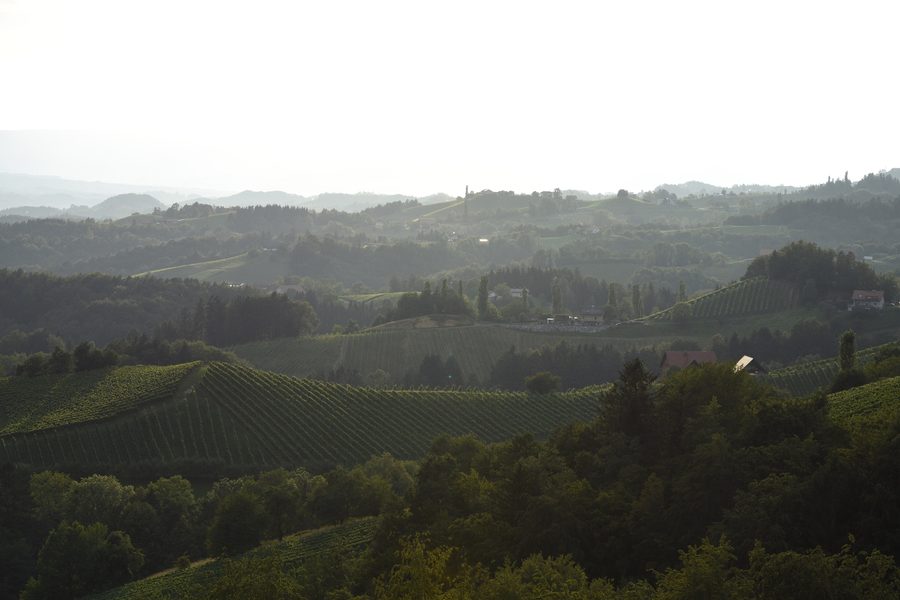Landschaft in Glanz an der Weinstraße in der Steiermark