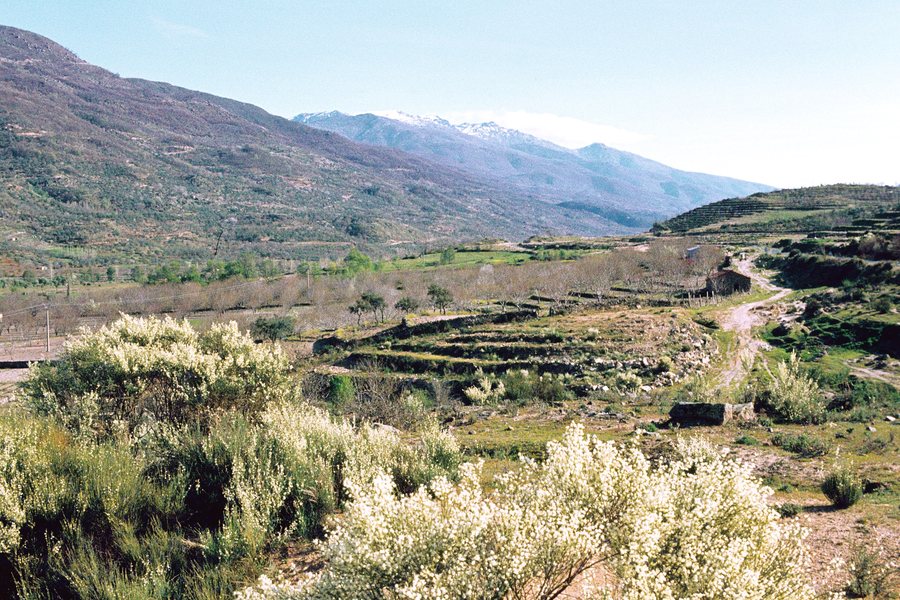 File:Valle del Jerte (1982) 05.jpg