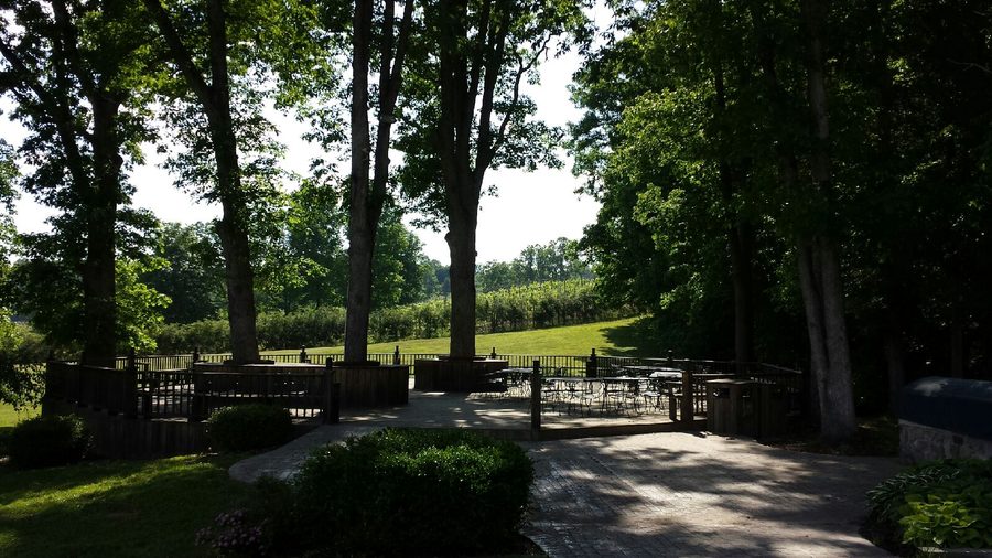 Baumterrasse von Daniel Vineyards mit Weinbergen im Hintergrund in Crab Orchard, West Virginia