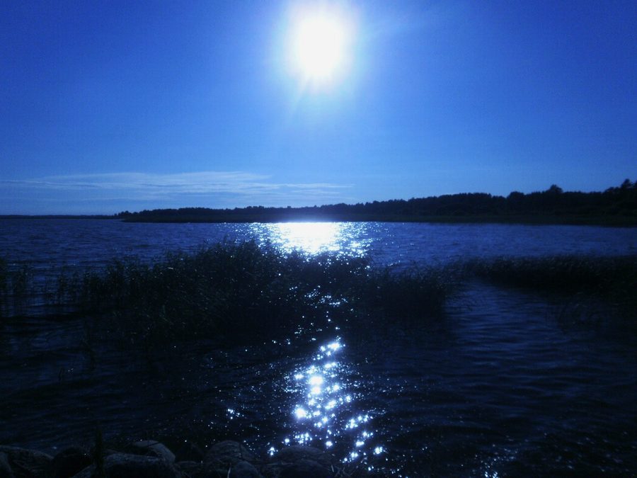 Ufer des Võrtsjärv bei Vaibla in Estland