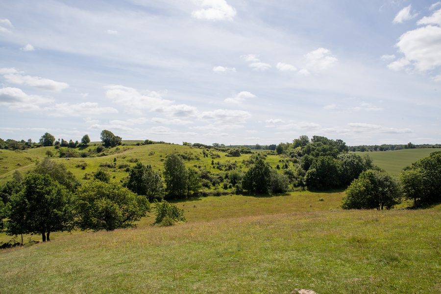Hügelige Landschaft der Brösarps backar in Skåne