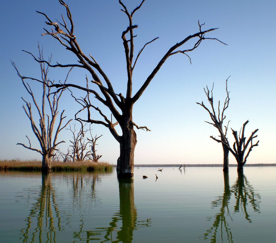 Lake Bonney near Barmera in South Australia