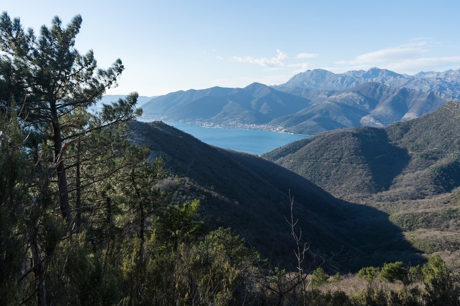 File:2024-02-02 A view from a trail in the hiking area near Donja Lastva 1.jpg