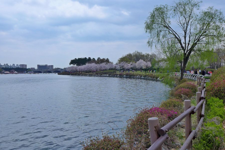 Green park landscape in Gyeonggi-Do