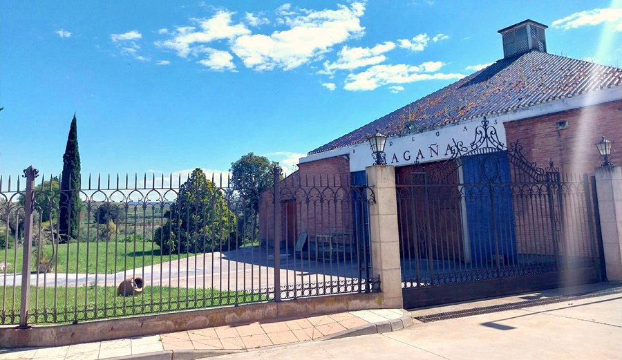 File:Barillas - Bodegas Viña Magaña 1.jpg
