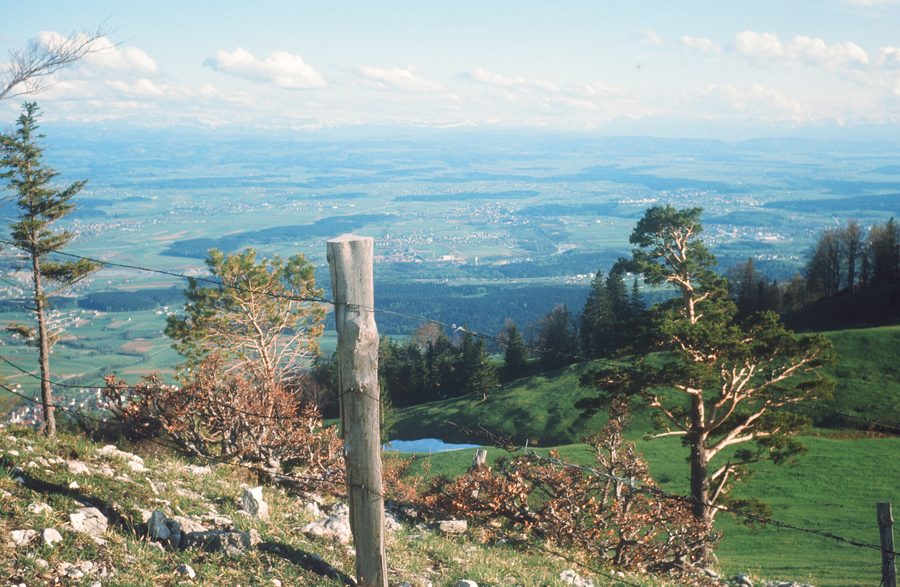 View over the villages of Wasseramt from Niederwiler Stierenberg.