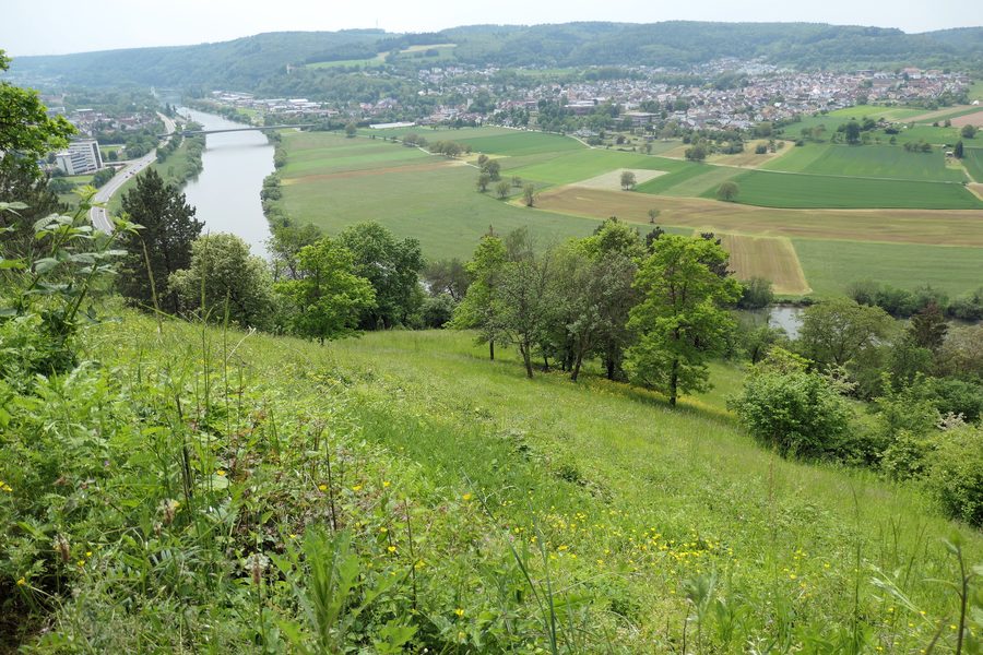 View across the Neckar Valley to Obrigheim and the wooded foothills of the Odenwald