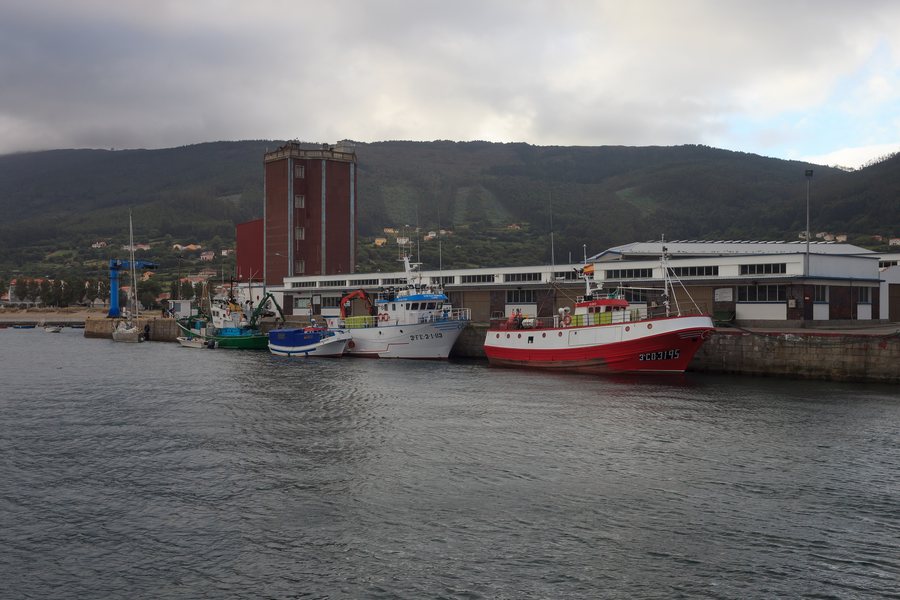 File:Cariño. Galiza 202.jpg