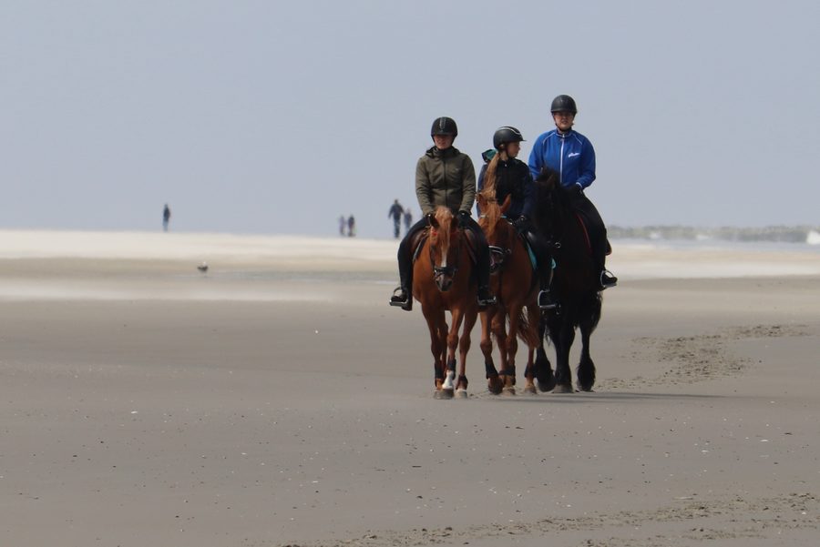 Riders on Schiermonnikoog’s wide beach in front of the dune landscape