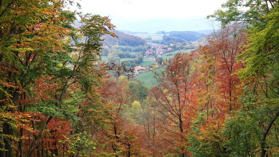 Landscape near Asbach in the Eichsfeld-Hainich-Werratal Nature Park