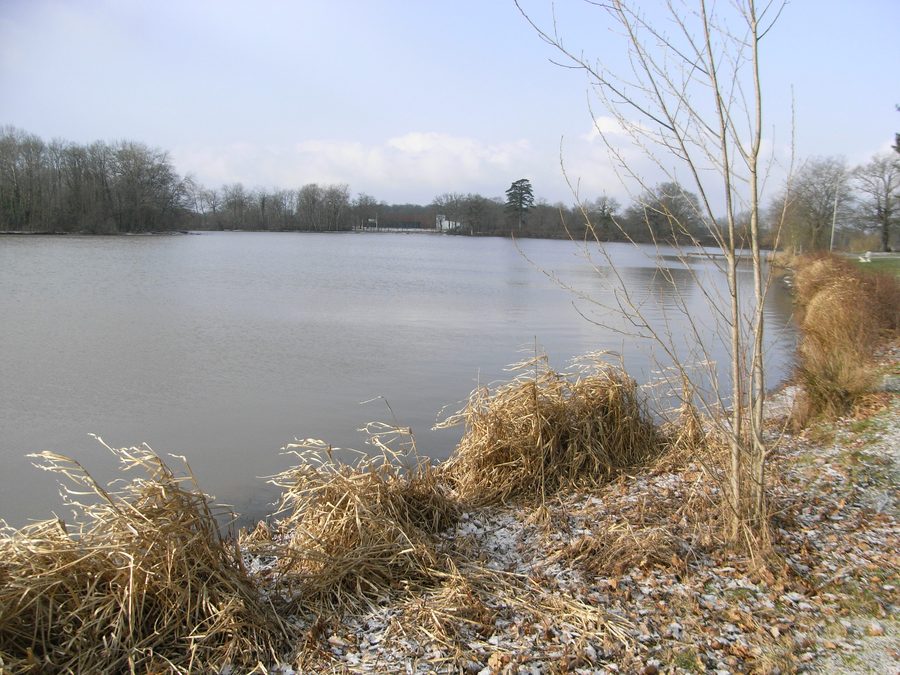 Étang de la Thévinière in Gesté in Maine-et-Loire