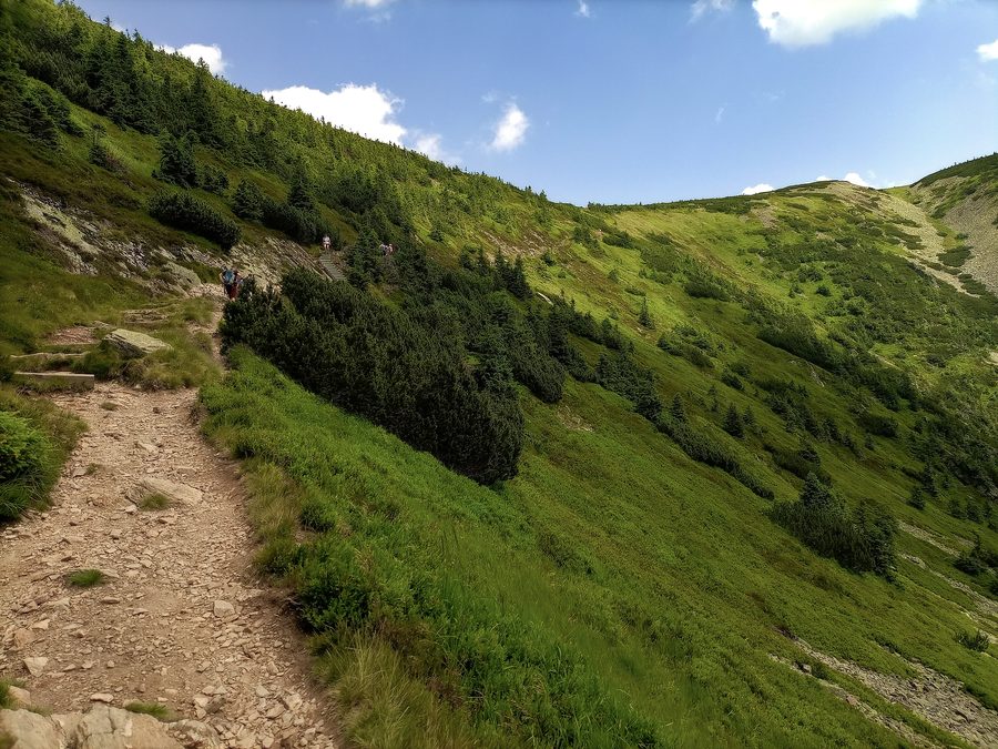 Mountain landscape near Krkonoše