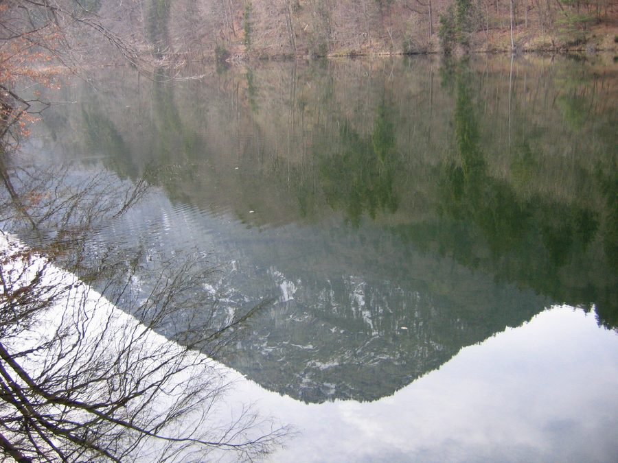 Shore area of Stimmersee in Langkampfen, Tyrol
