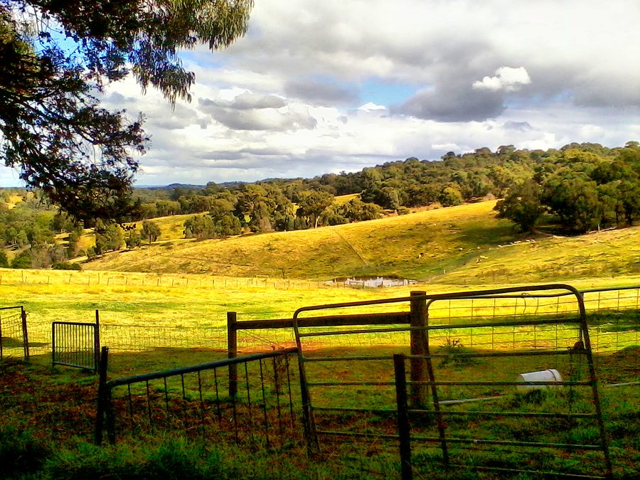 Open pasture on an old farm in Cottle's Bridge near Melbourne