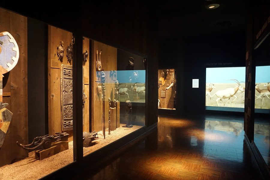 Photo from the Milwaukee Public Museum with a connection to West and Southern Africa.