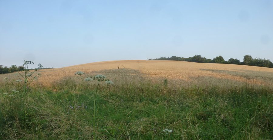 Former service road northeast of Teistungen on the border
