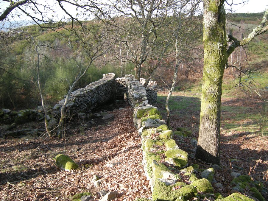 File:Foxo de lobo das Brañeiras en Viascón, Cotobade.jpg