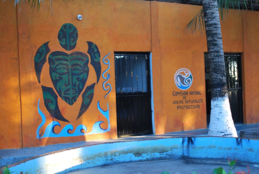 Stylized sea turtle mural at the Puerto Arista turtle and alligator sanctuary