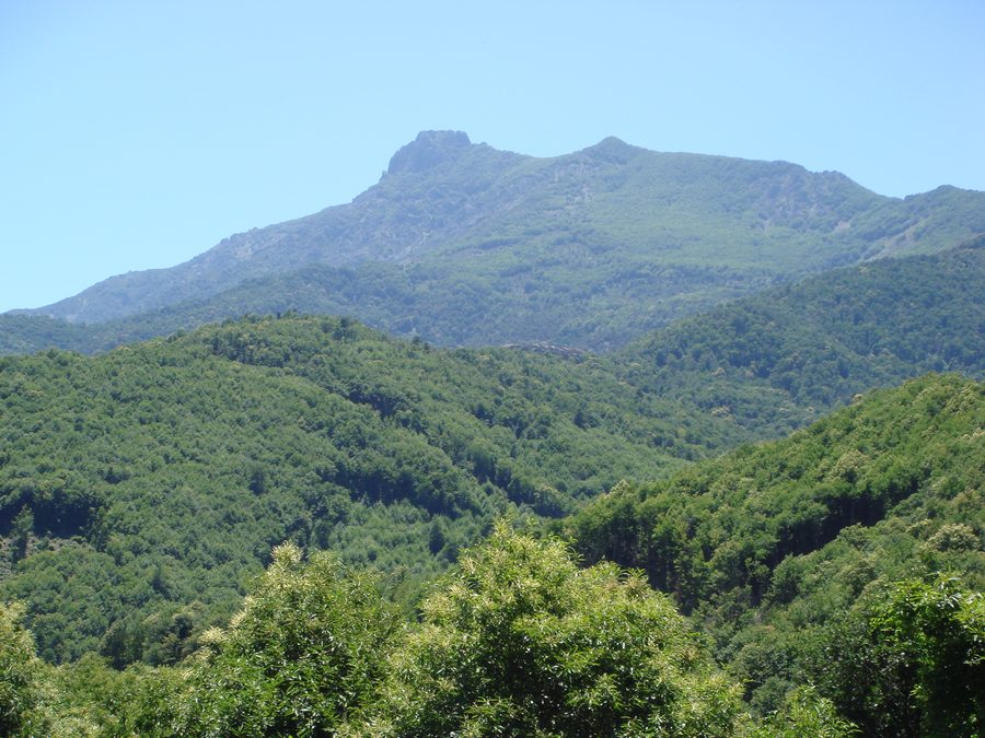 Mountain and valley landscape of Castagniccia on Corsica