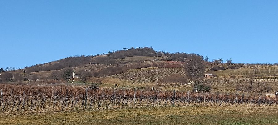 Eichkogel near Anninger with a listed vineyard chapel and vineyards